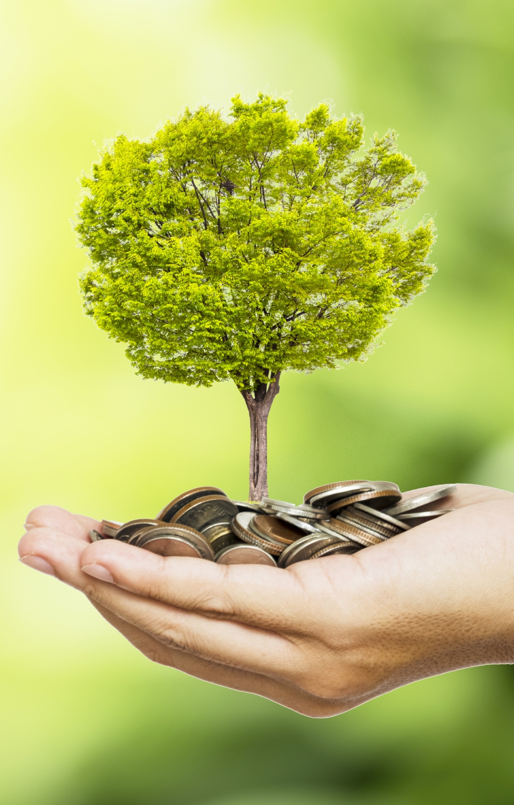 A handful of coins holding a miniature tree  against a green background