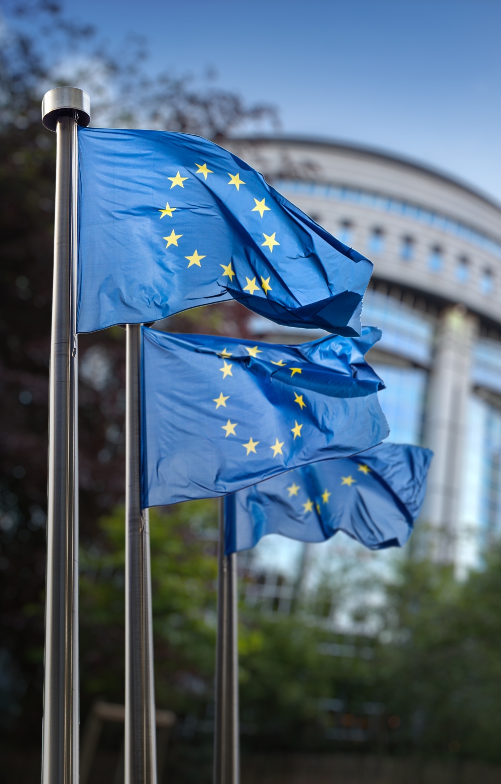 Picture of the hemicycle of the European Parliament with the EU flag blowing in the wind