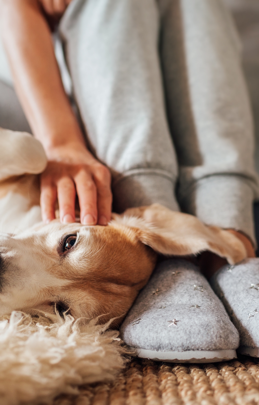 iifa pensions report