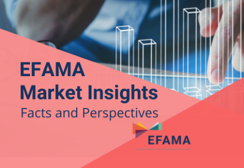 market insights 3