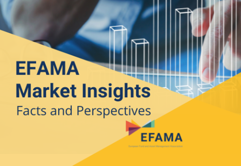 market insights 4