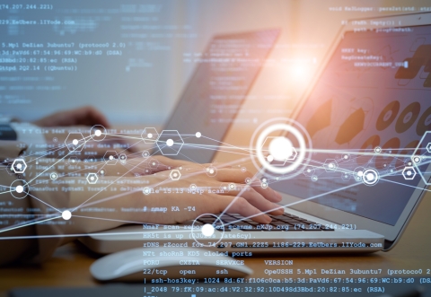 hands typing on a laptop showing charts and statistics