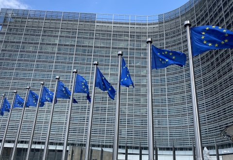Eu flags
